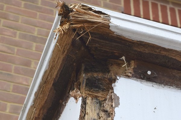 Rotten wooden timber roof structure