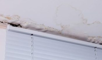 Penetrating Damp near window