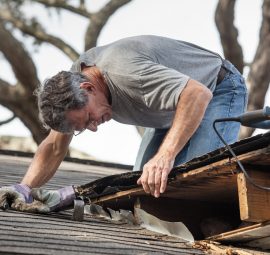 Taking_Action_on_Fixing_Damp