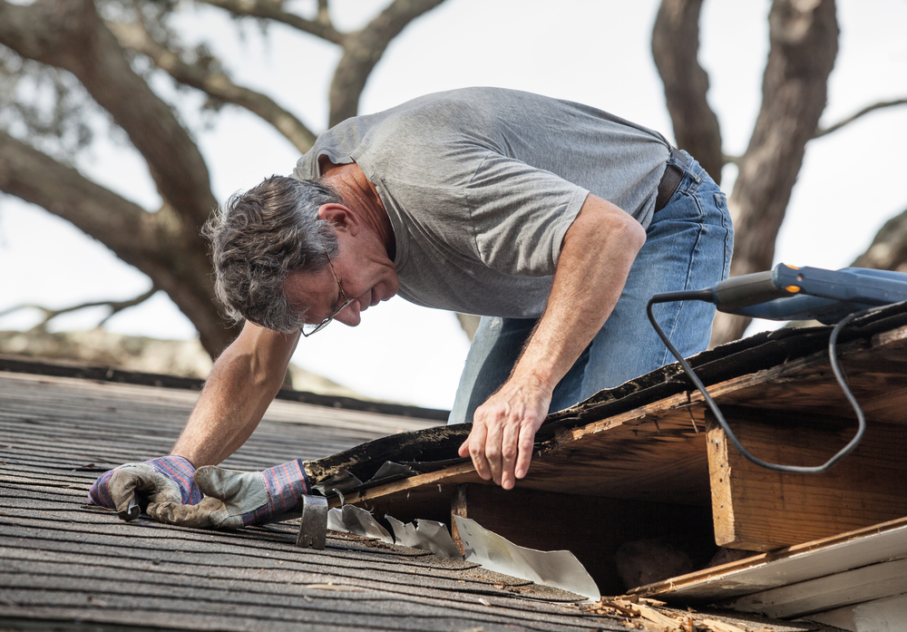 Taking_Action_on_Fixing_Damp