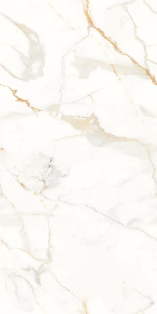 Genesis Staturio Matt Tile 60X120