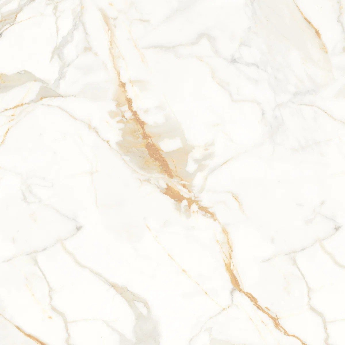 Genesis Staturio Matt Tile 80X80
