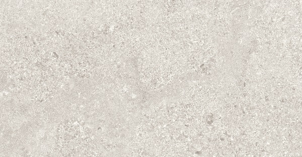 Cruise Grey Matt 600x300mm