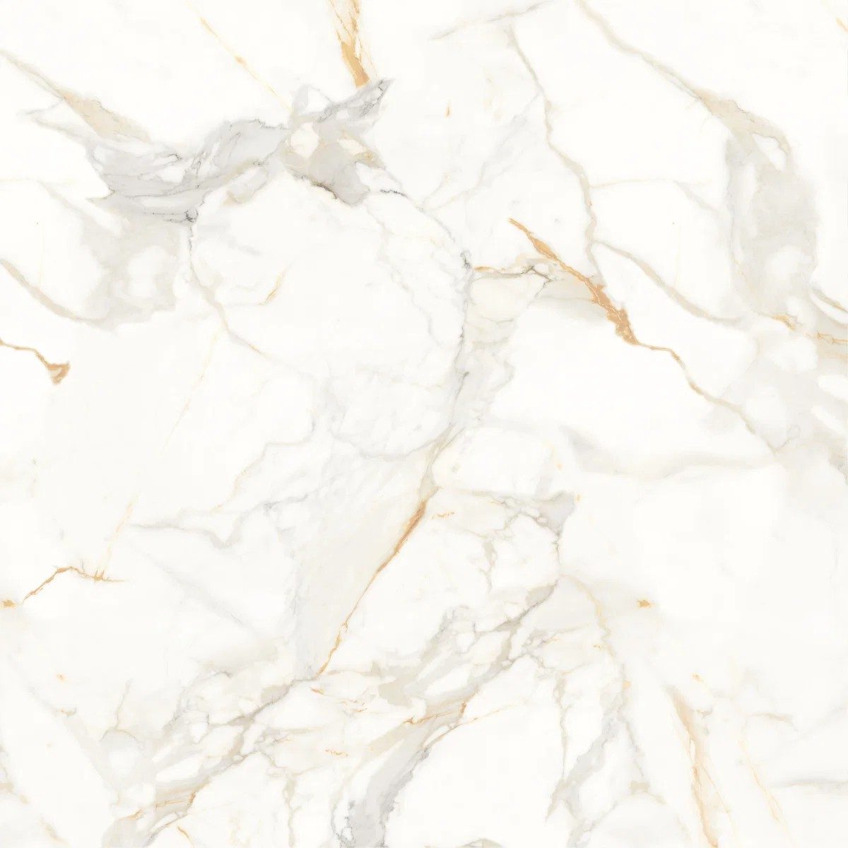 Genesis Staturio Matt Tile 80X80