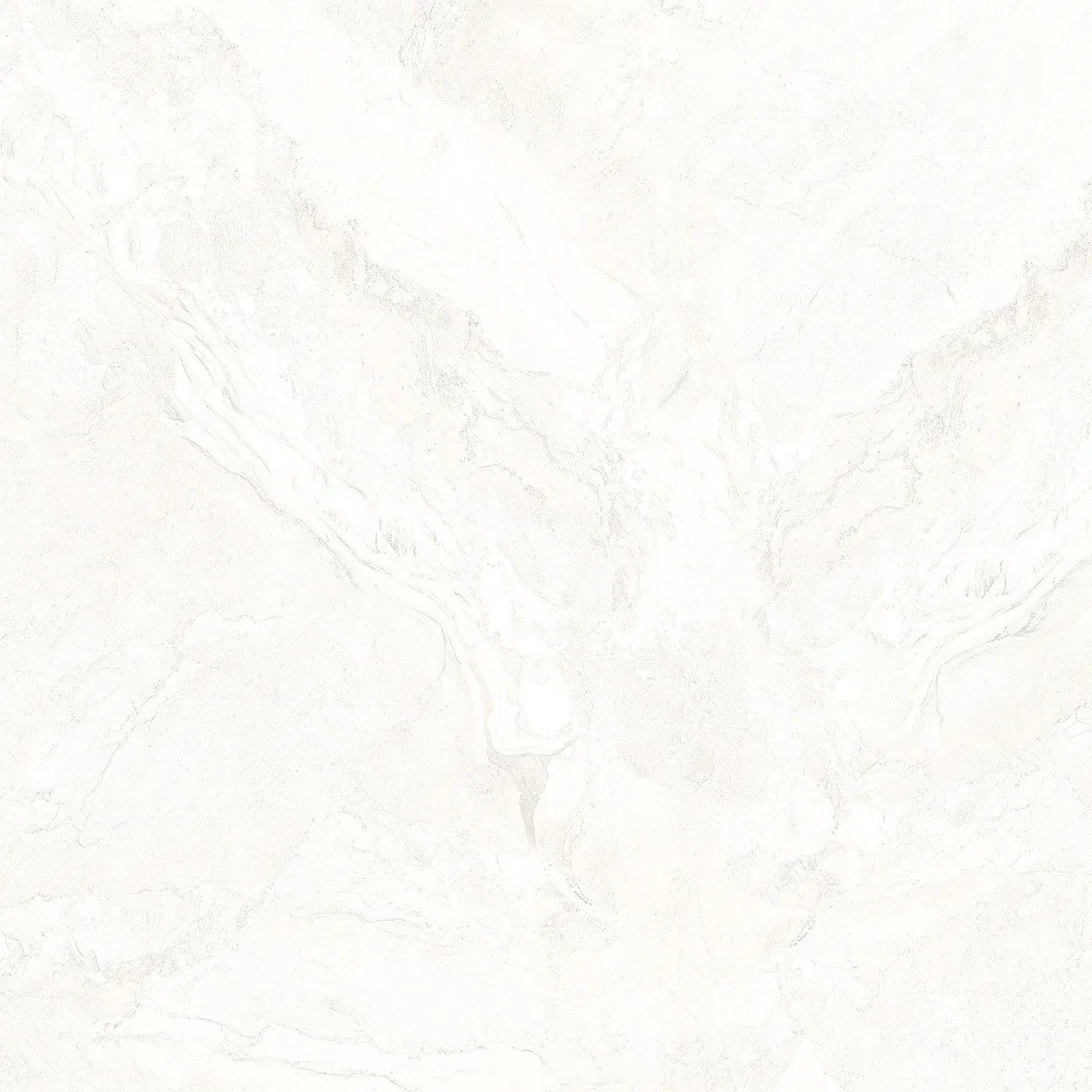 Oceano Polished Tile 60×60