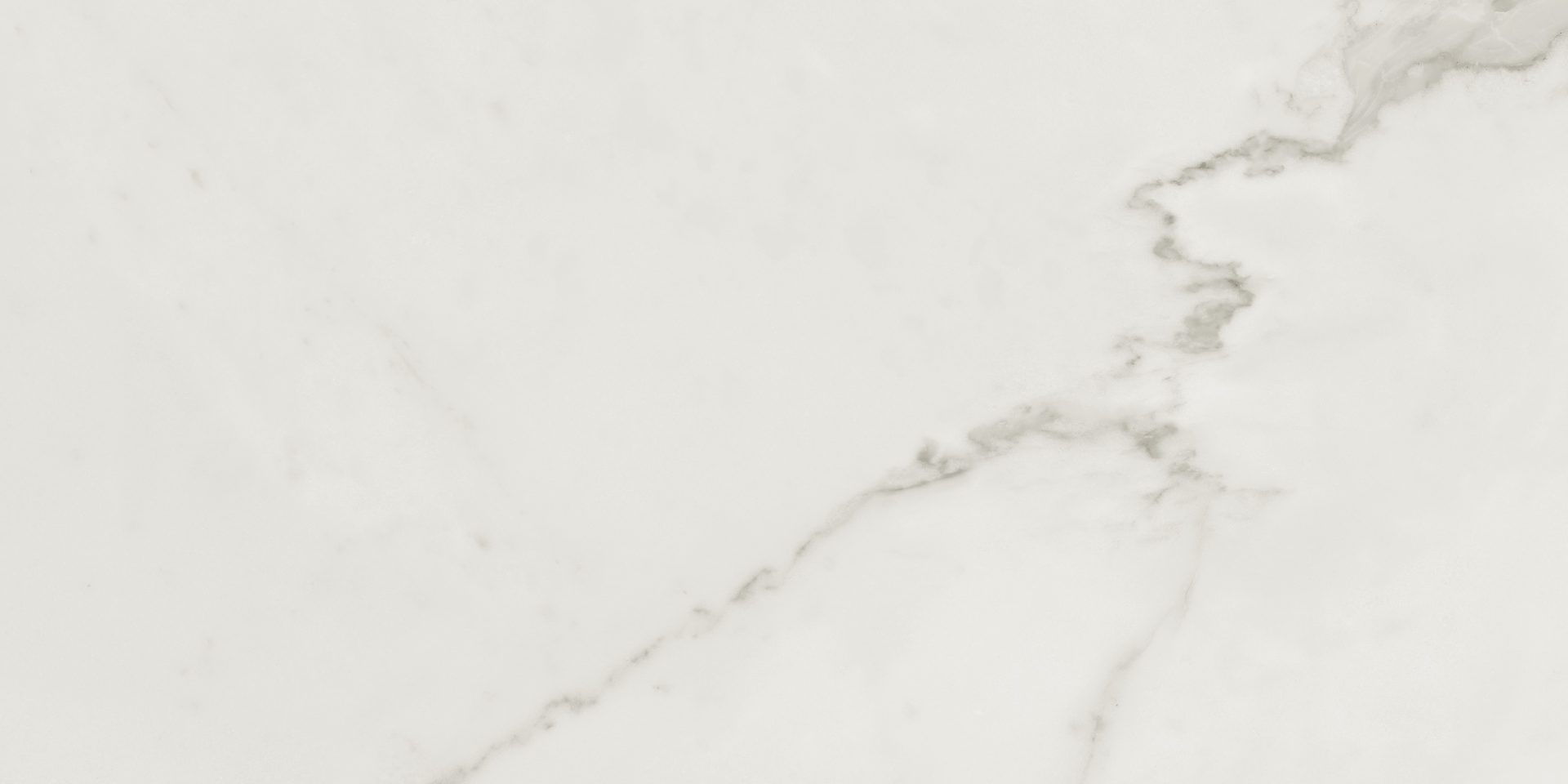 Calacatta Silver Matt 600x300mm