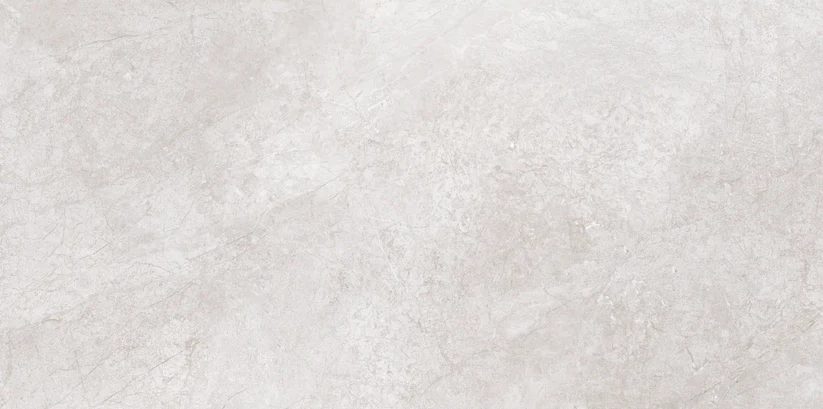 Payas Grey Gloss 300x600mm