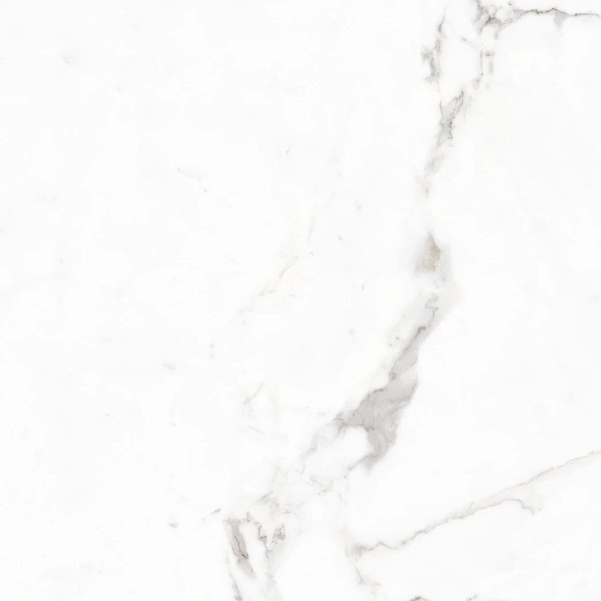 Calacuta Polished Tile 60×60