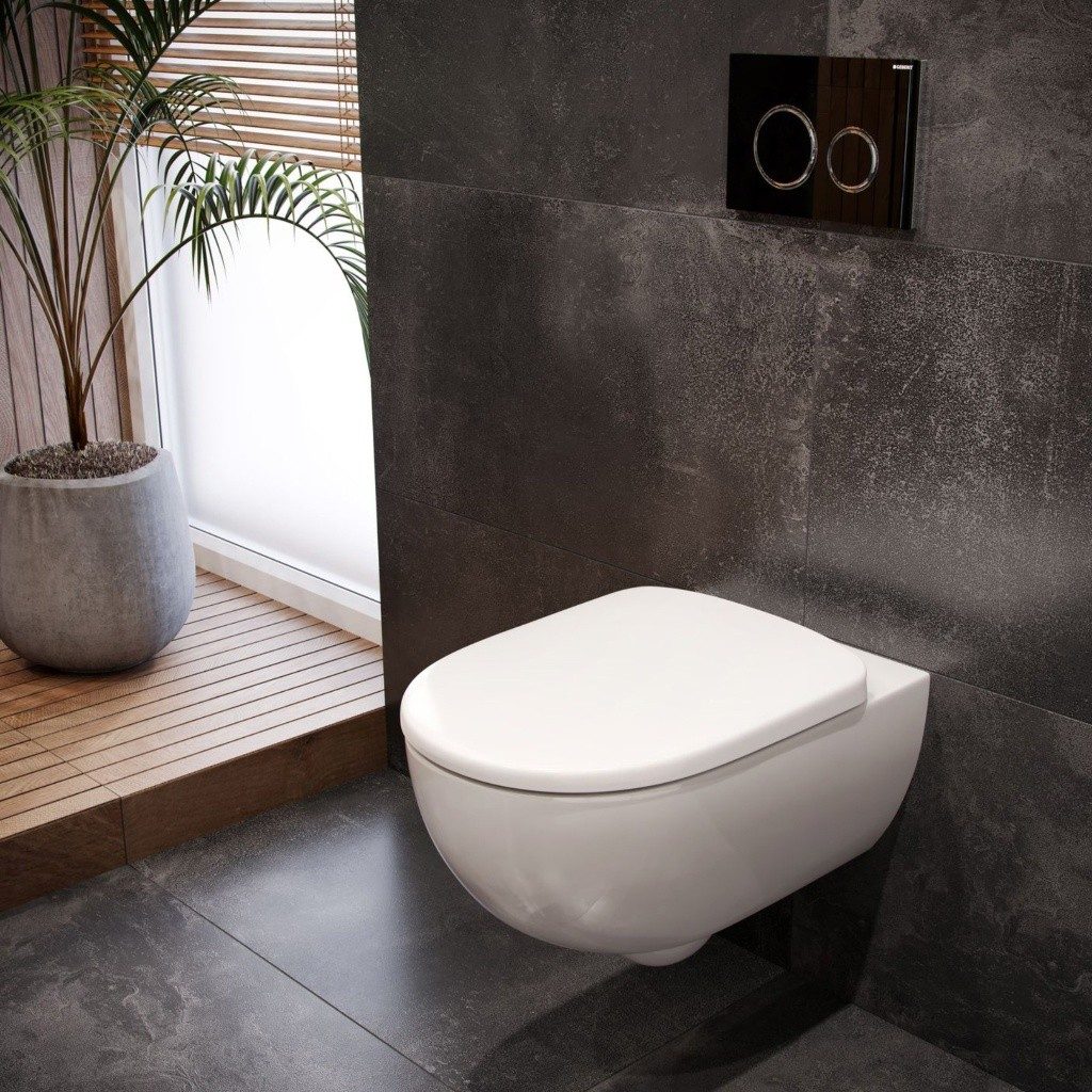 Geberit Selnova Premium Rimless Wall Hung Pan & Soft Close Seat