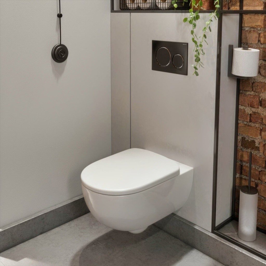 Geberit Selnova Premium Rimless Wall Hung Pan & Soft Close Seat