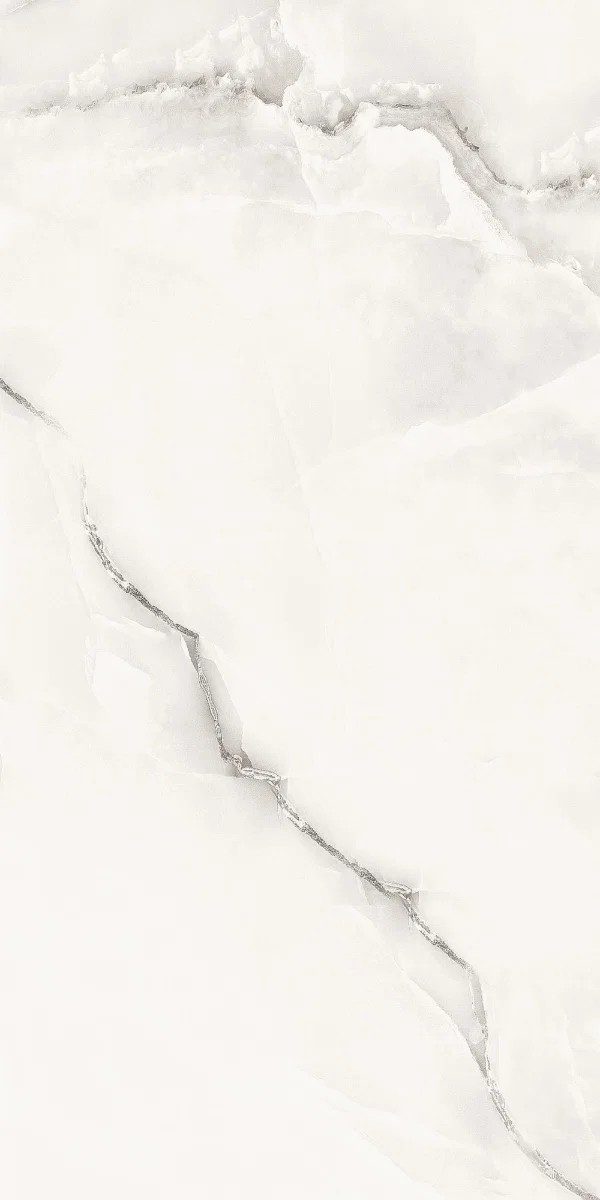 Onyx Grey Polished Tile 60×120