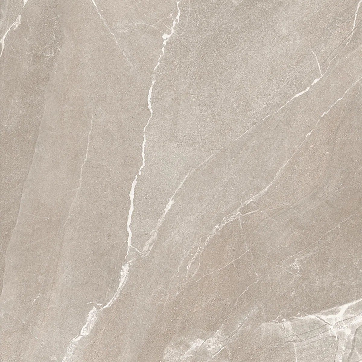 Bodo Grey Tile 100X100