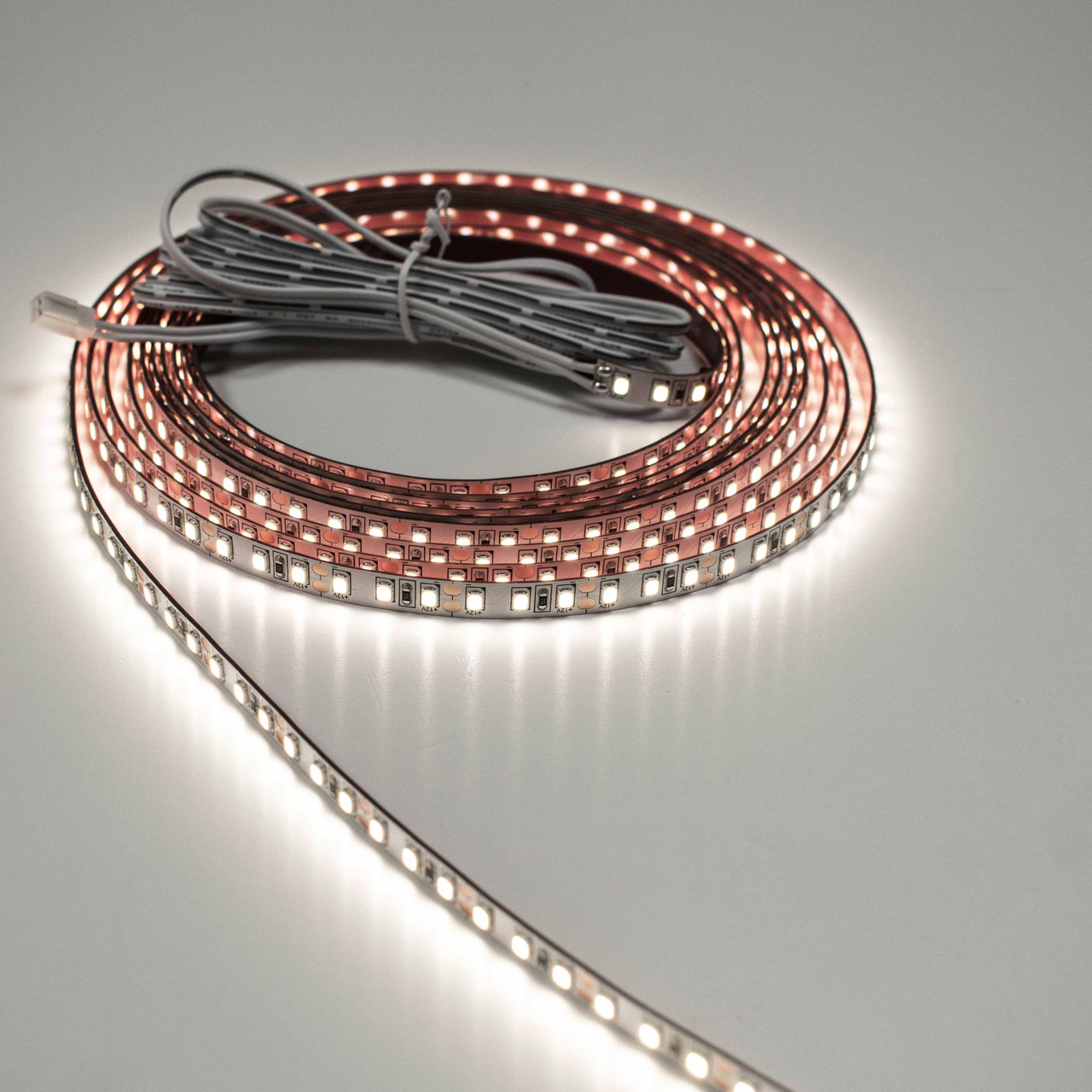 Sycamore 12V Standard Multi Point LED Strip 5m Reel 4W