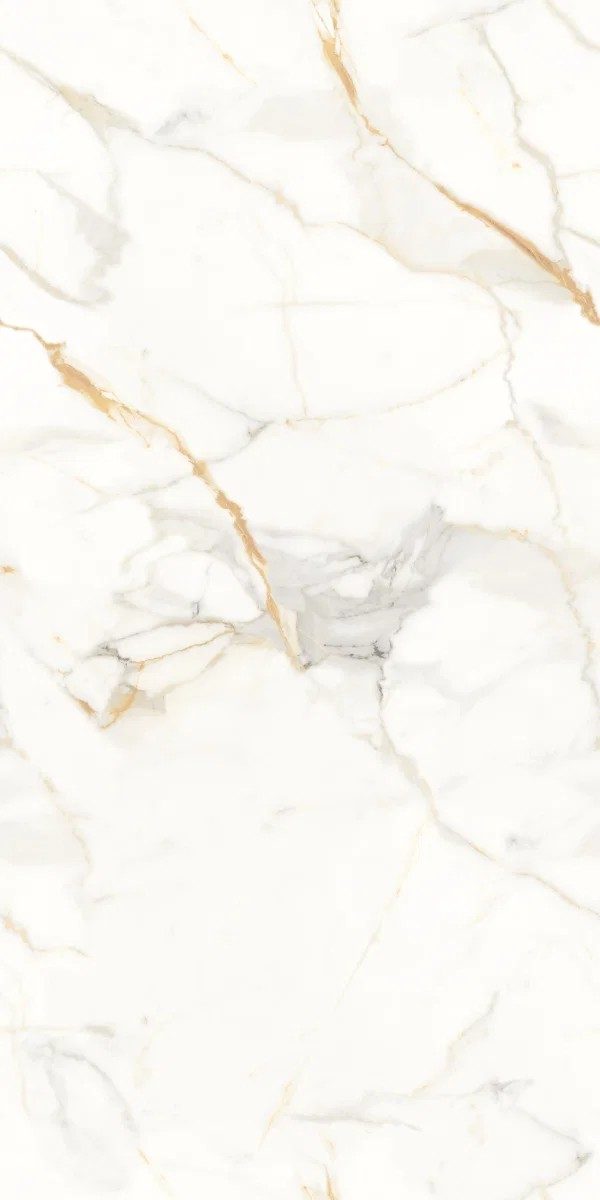Genesis Staturio Matt Tile 60X120