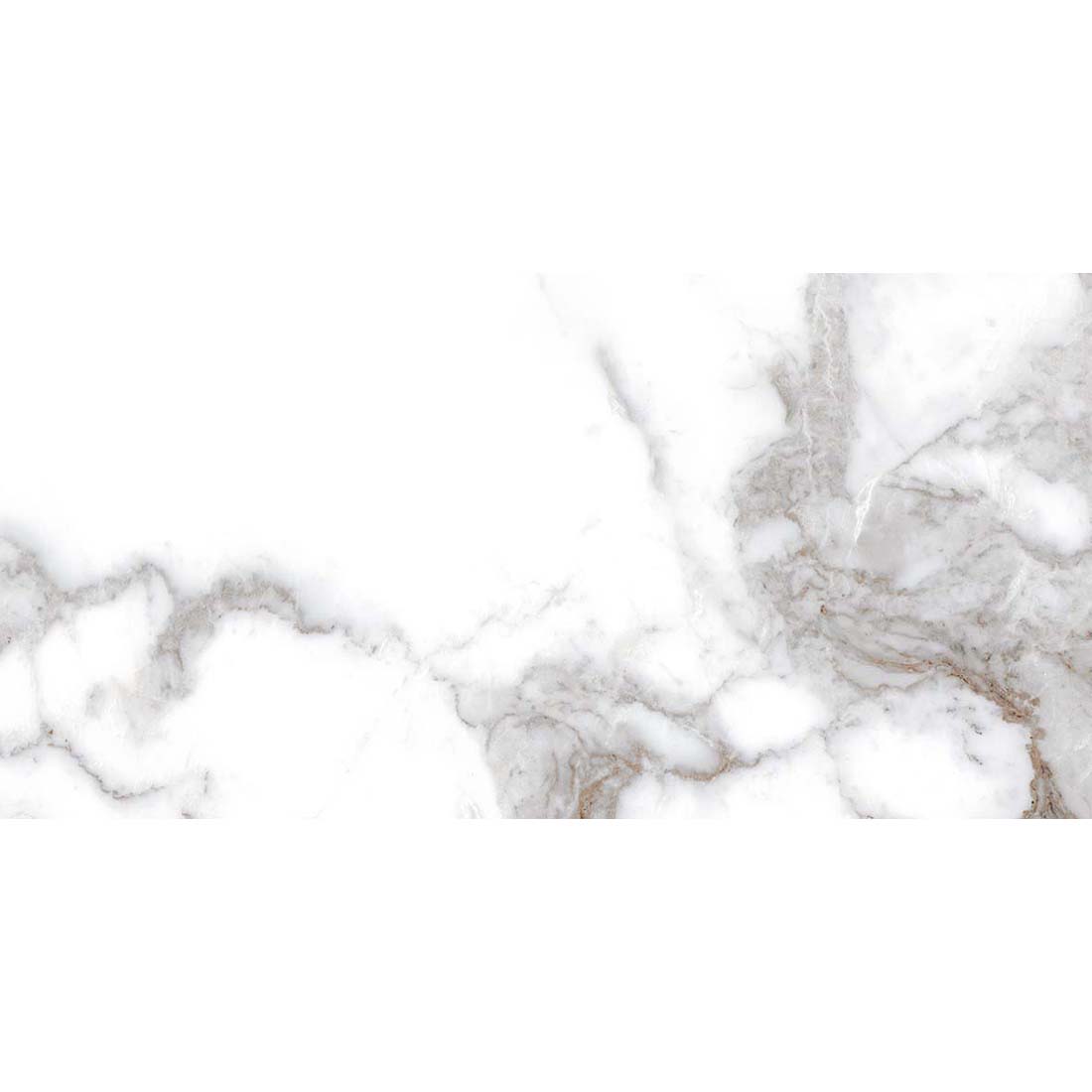 Oro Calcutta 60×120 White Polished Porcelain Tile