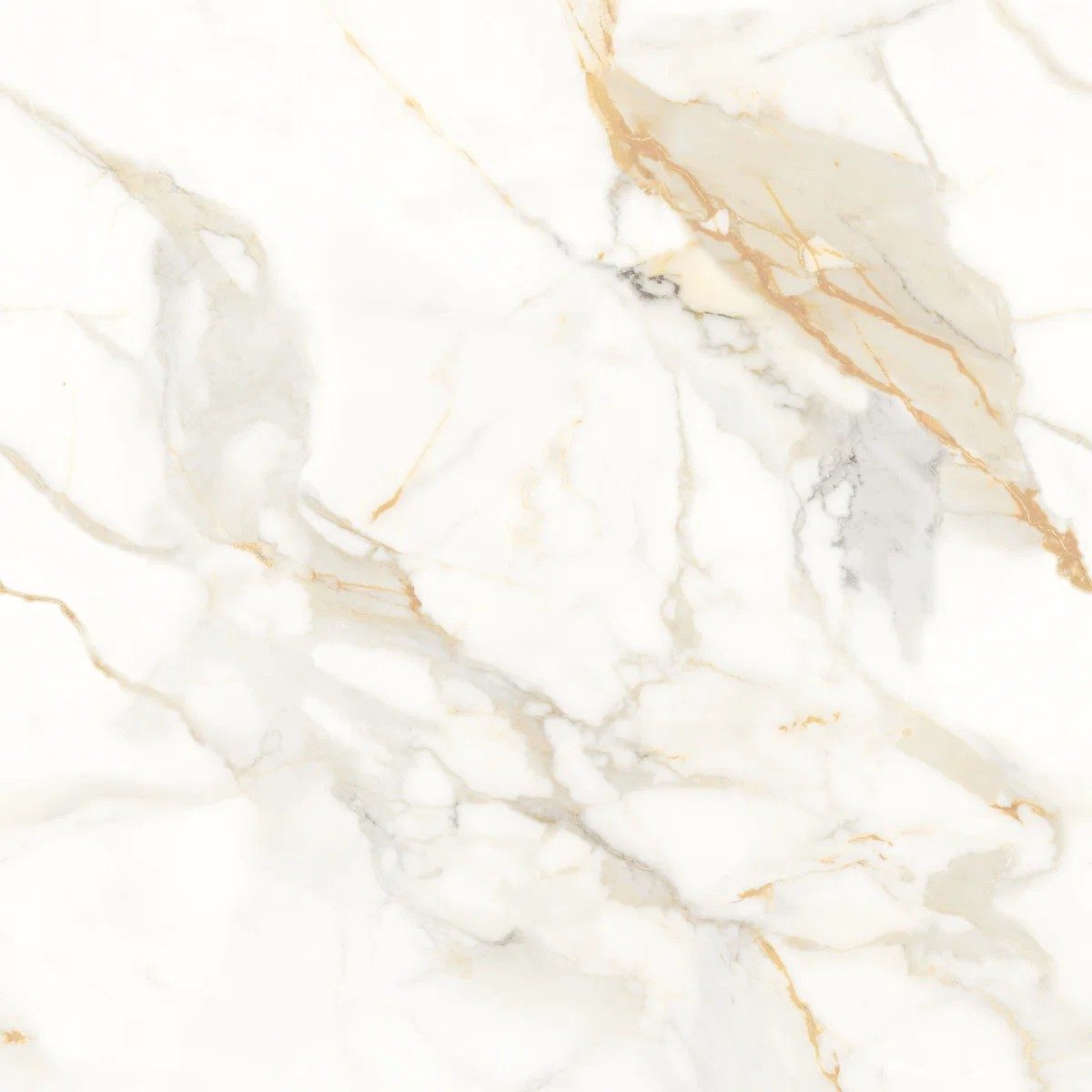 Genesis Staturio Matt Tile 60X60