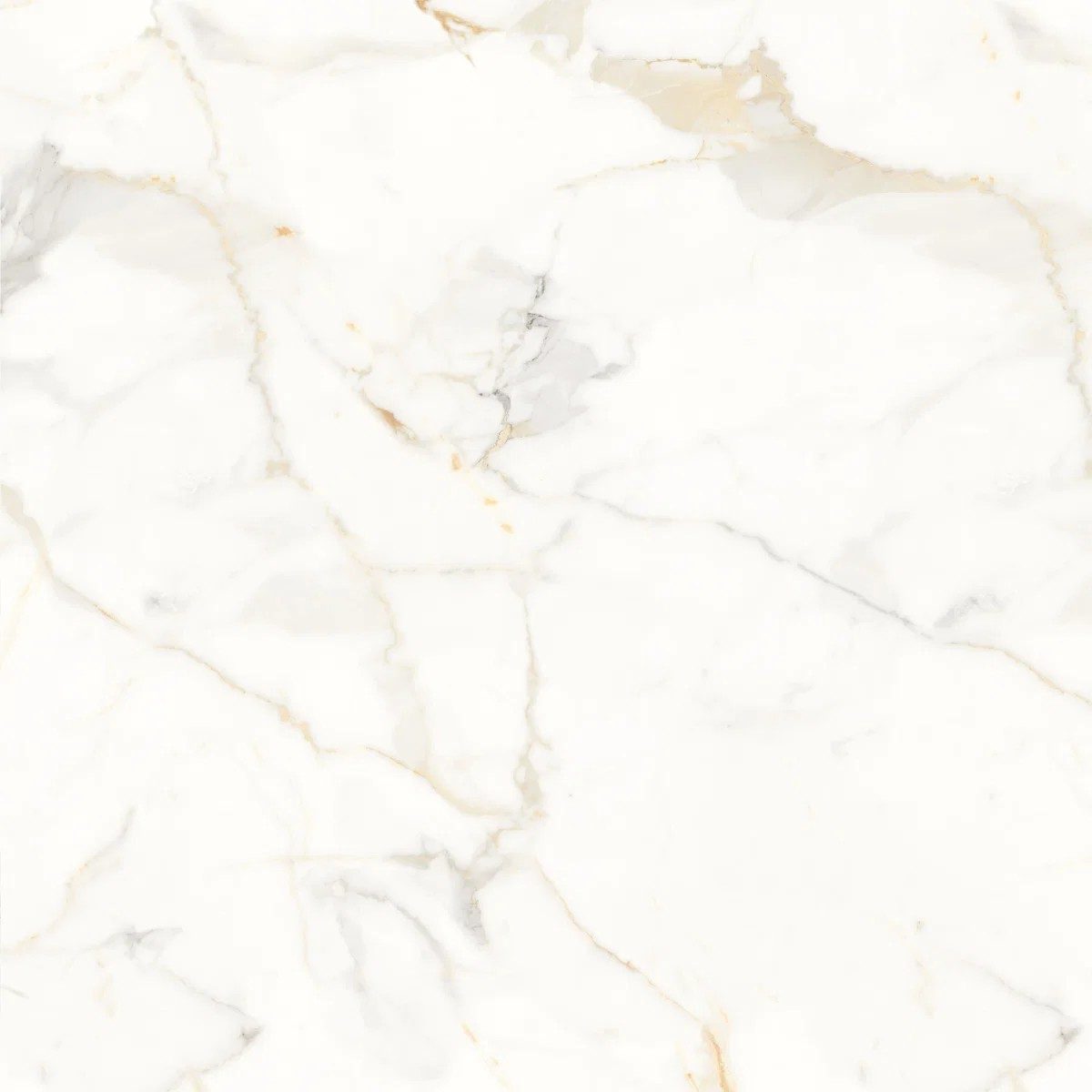 Genesis Staturio Matt Tile 80X80