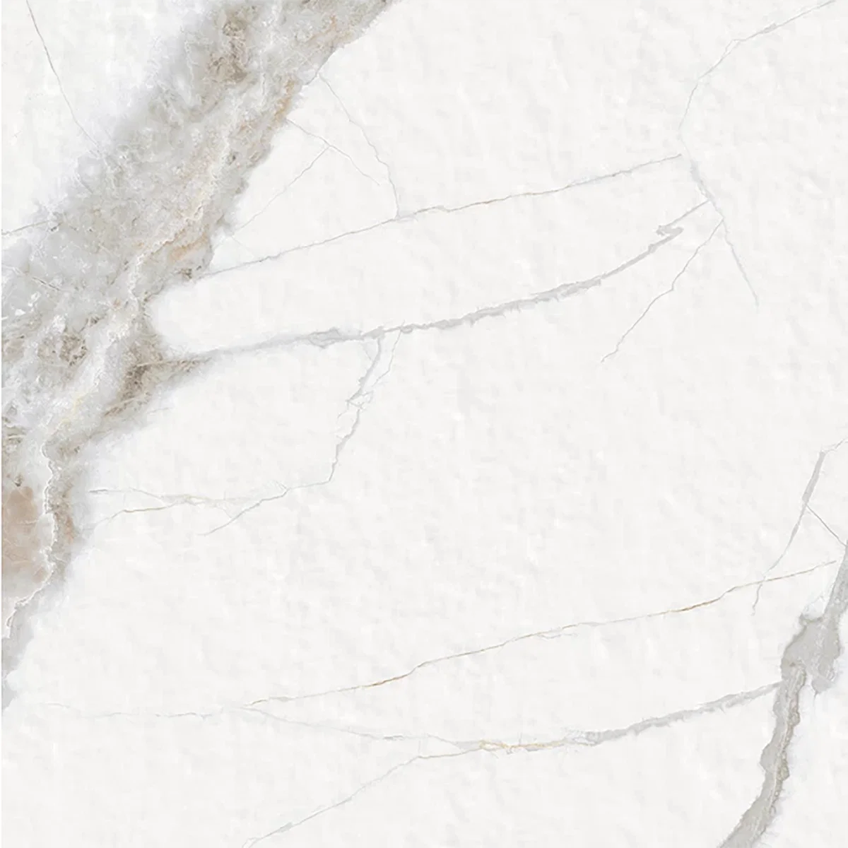 Pamena White Rectified Tile 59X59