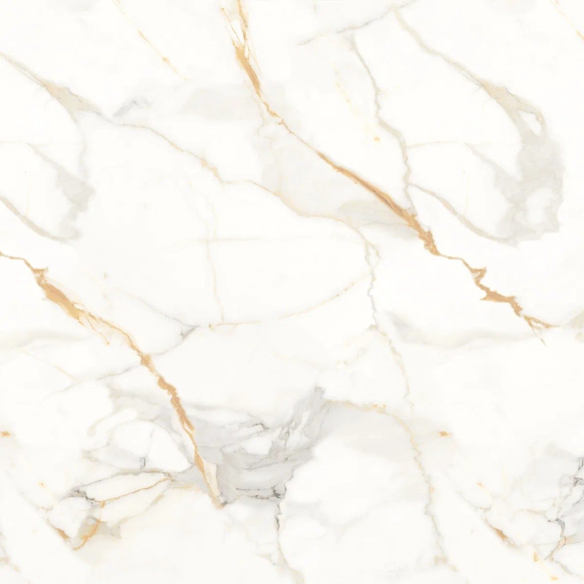 Genesis Staturio Matt Tile 80X80