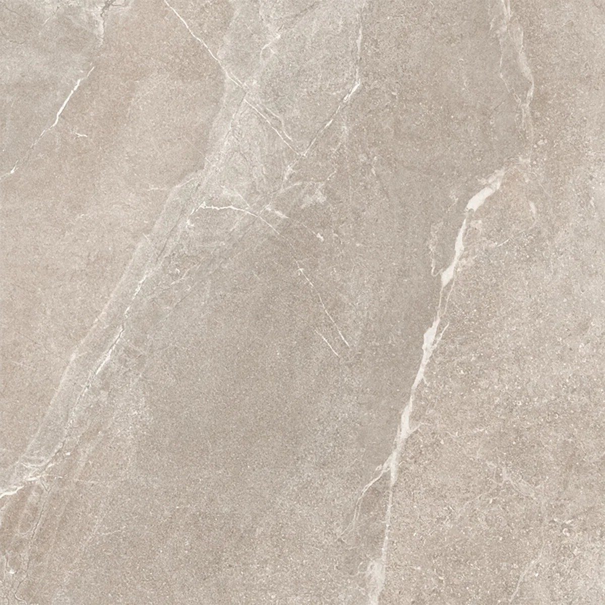Bodo Grey Tile 100X100