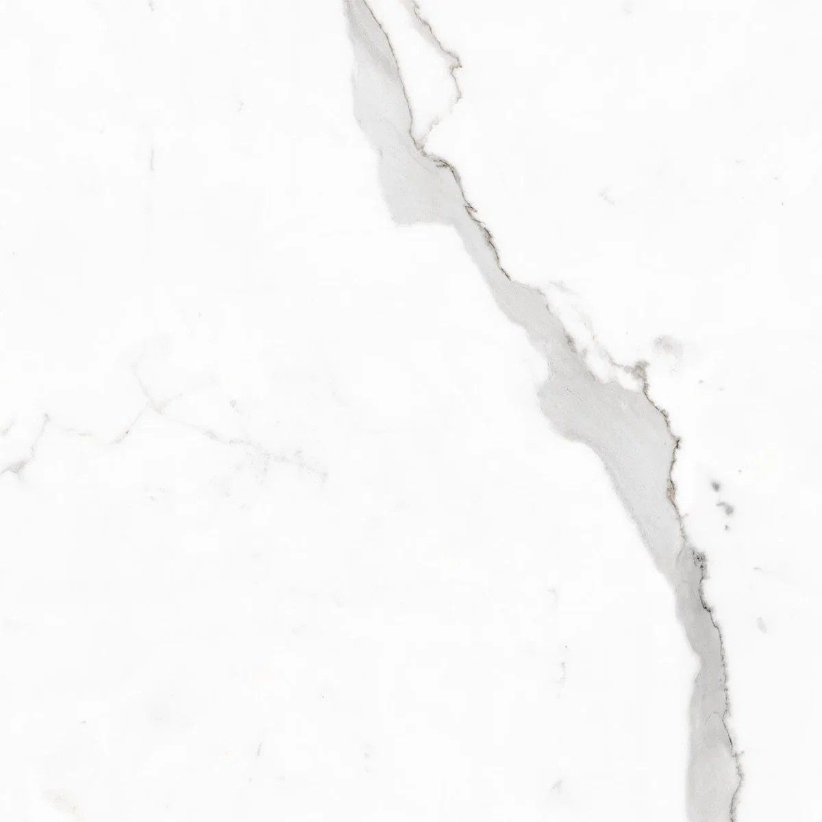 Calacuta Polished Tile 60×60