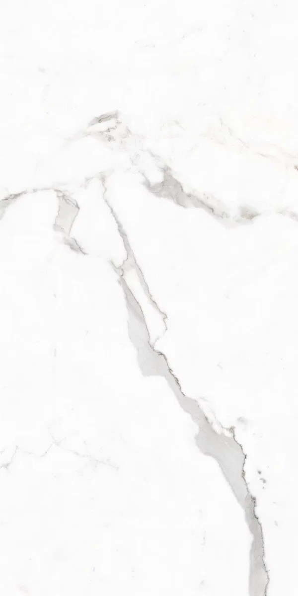 Calacuta Polished Tile 60×120