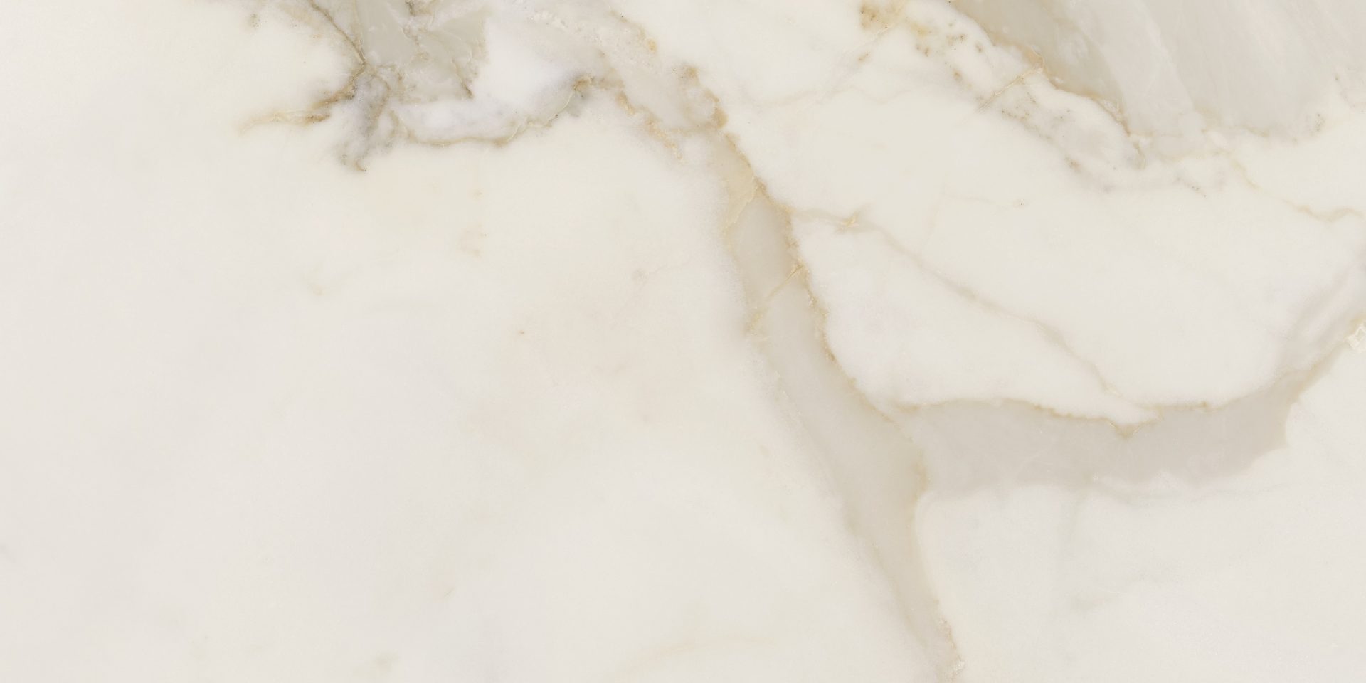 Calacatta Gold Matt 600x300mm