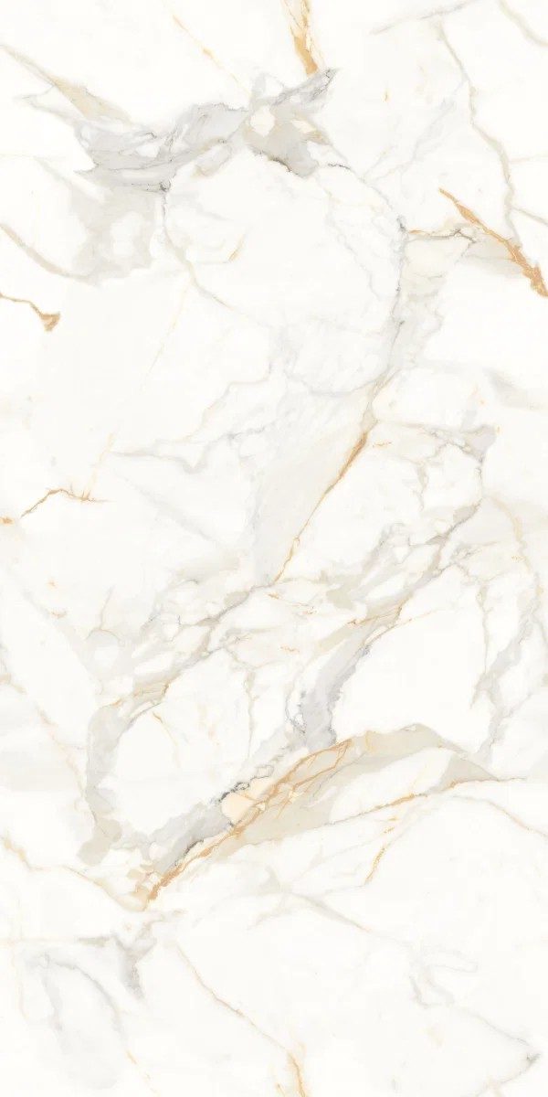 Genesis Staturio Matt Tile 60X120