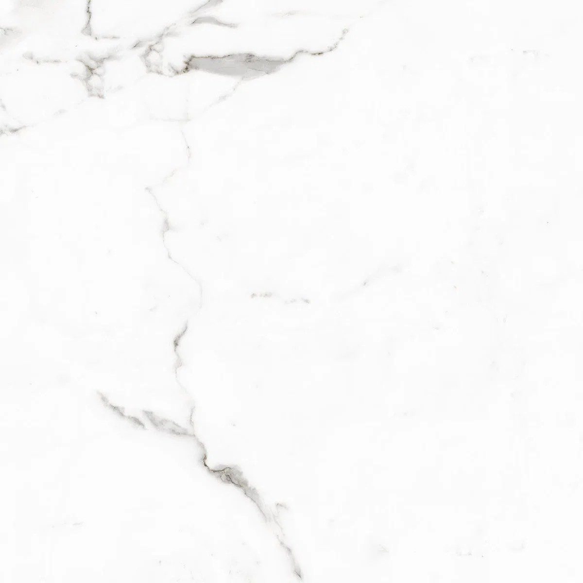 Calacuta Polished Tile 60×60