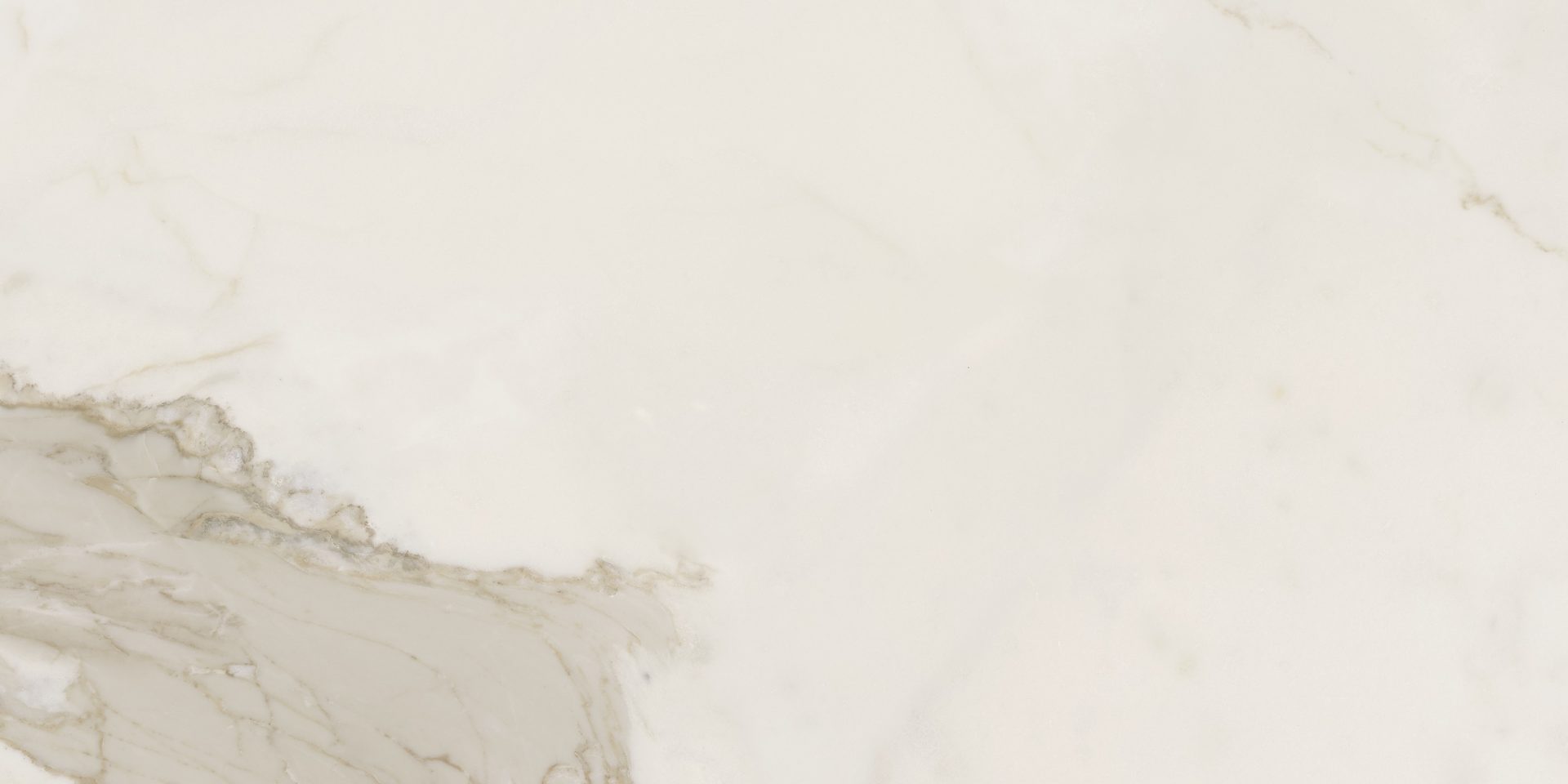 Calacatta Gold Matt 600x300mm