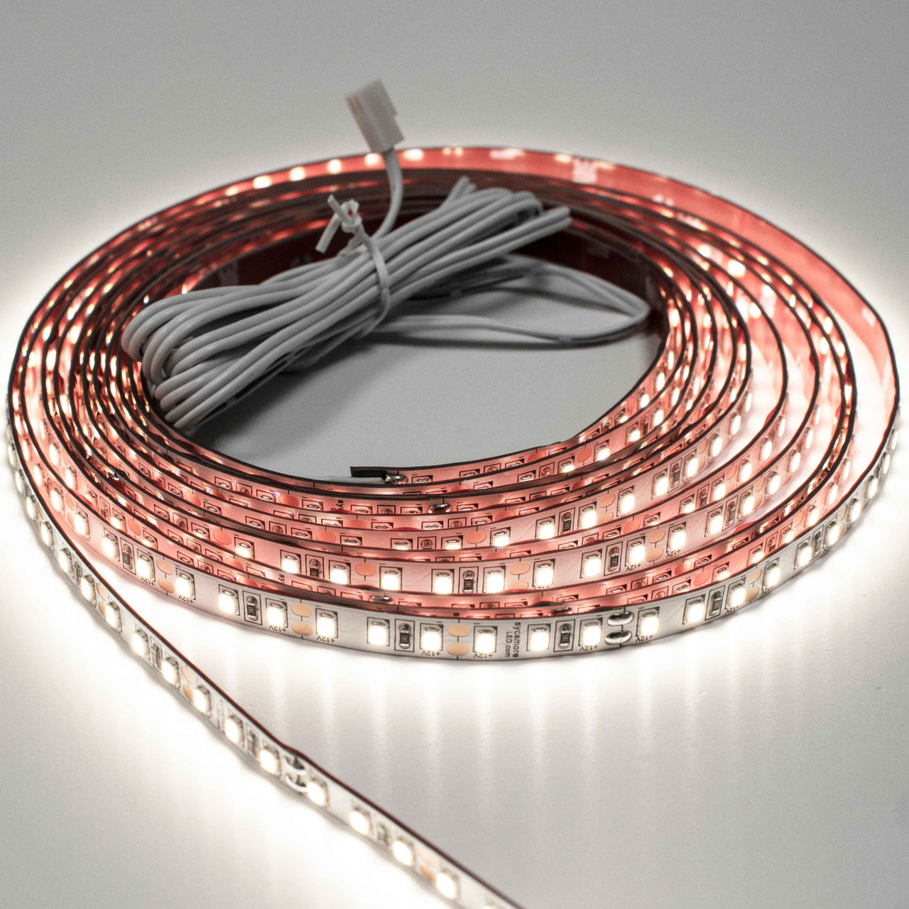 Sycamore 12V Superior Multi Point LED Strip 3/5M Reel 9.6W