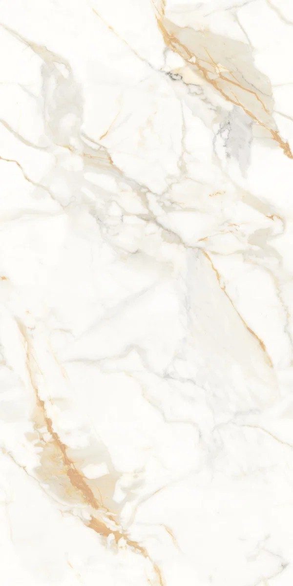Genesis Staturio Matt Tile 60X120