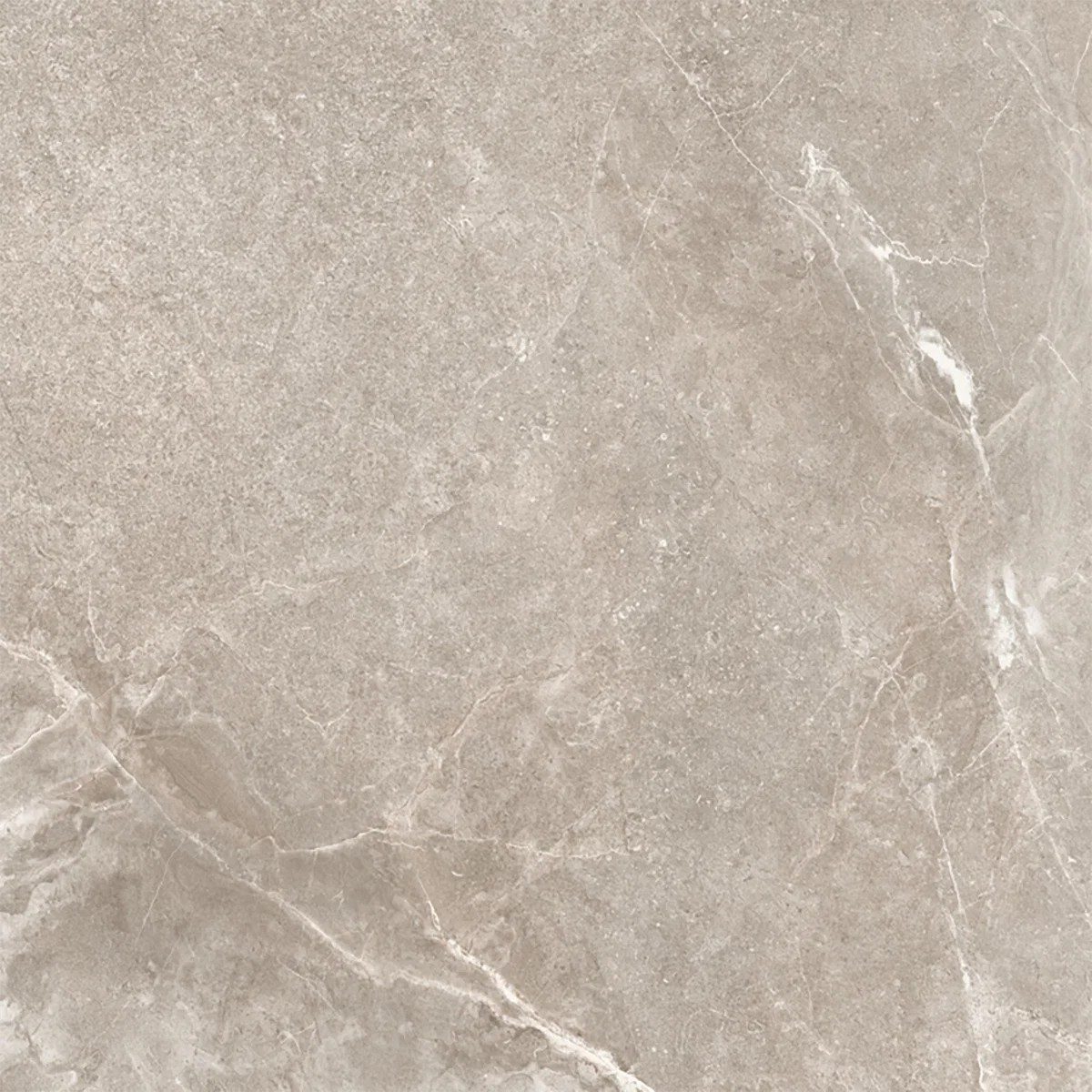 Bodo Grey Tile 100X100