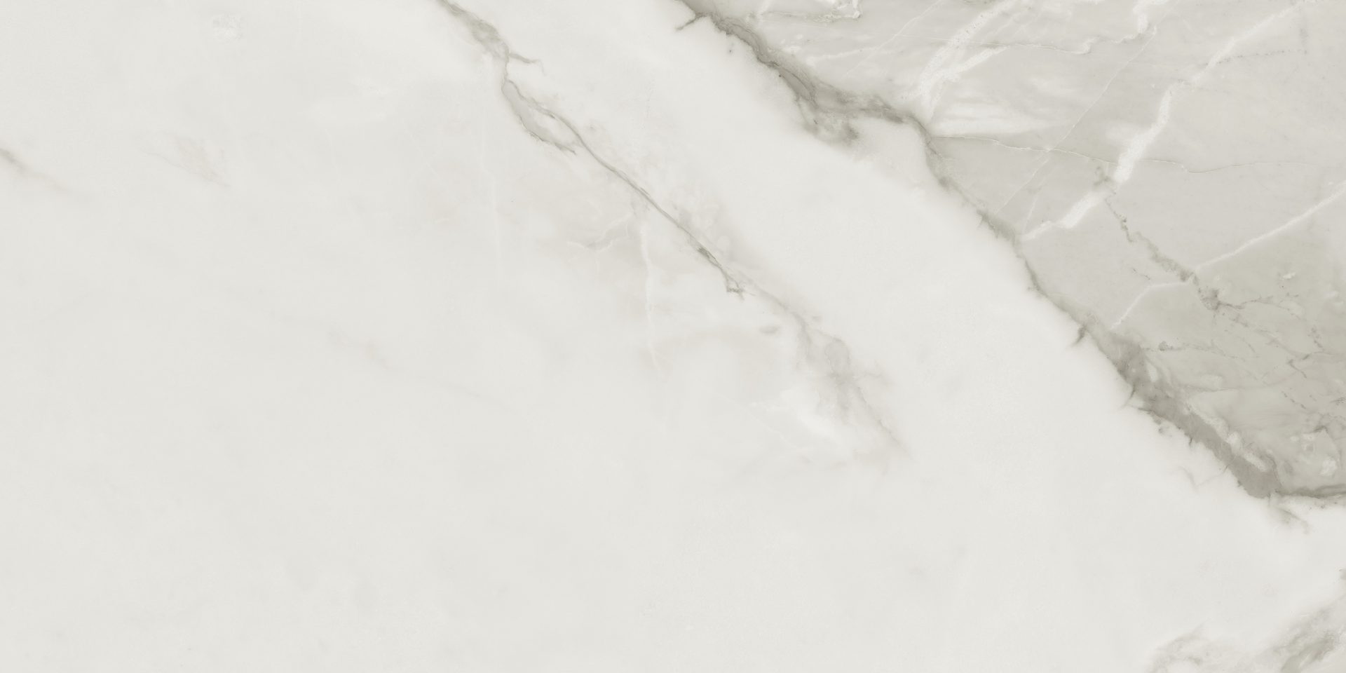 Calacatta Silver Matt 600x300mm