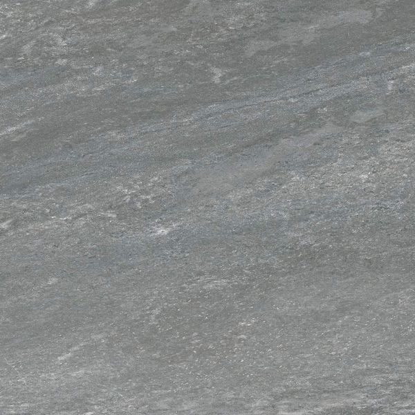 Safari Grafito 608×608