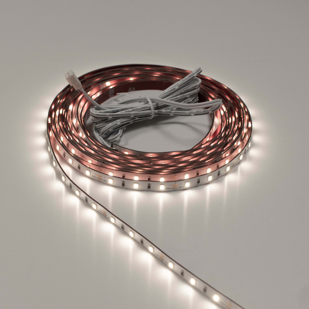 Sycamore 12V Economy Multi Point LED Strip 5m Reel 4W