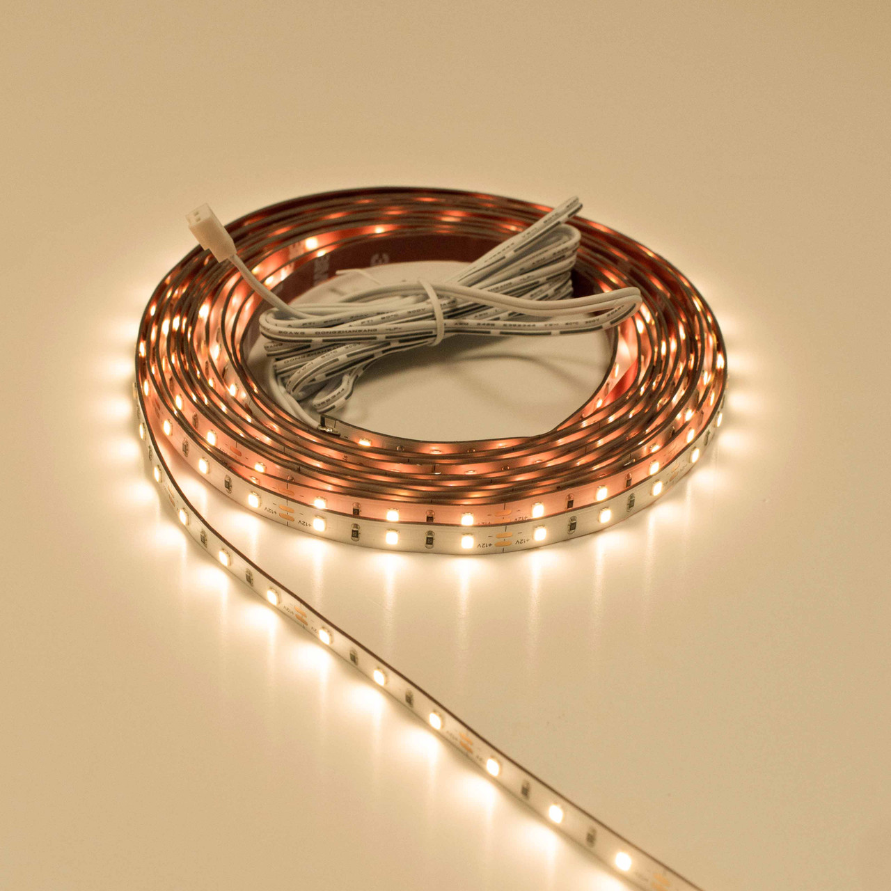 Sycamore 12V Economy Multi Point LED Strip 5m Reel 4W