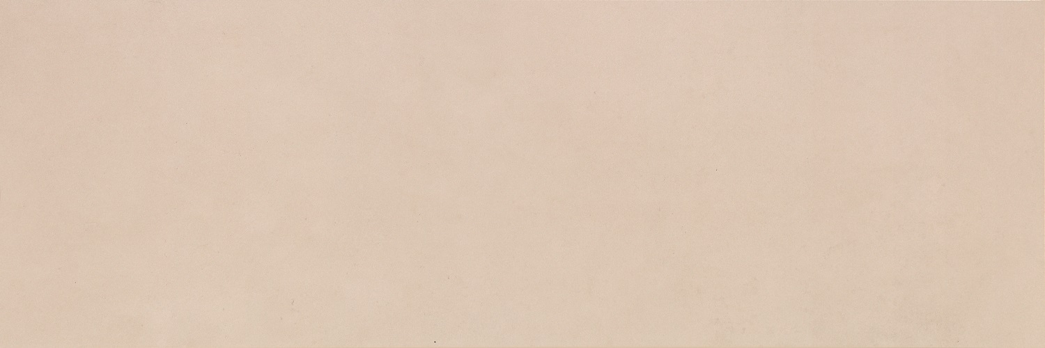 Palmeto Bone Matt 900x300mm