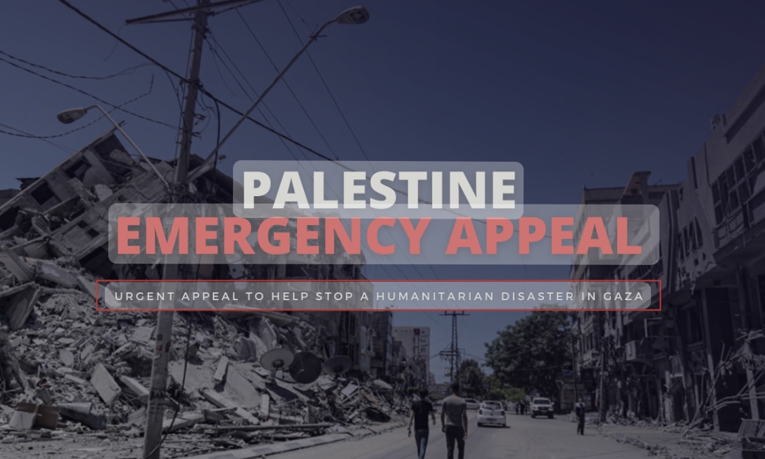 Nina’s Fundraiser for Palestine