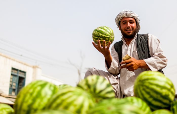 Young man sells watermelons on a roadside cart to create a living for his family in Mazar-i-Sharif