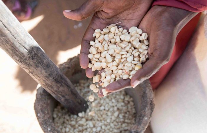 Dry staples and pulses. 1 maad is a volume equivalent to cupped hands. Fitrana is equal to 4 maad.