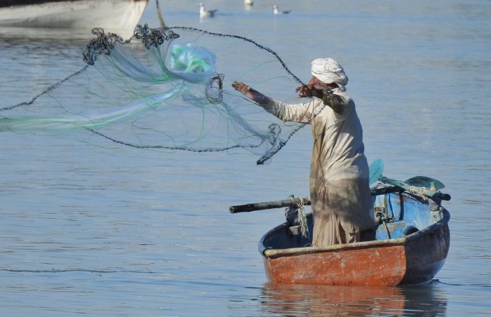 An old age senior fisherman throws his nets in the sea to catch small shrimps, Yemen.