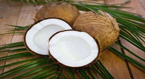 Coconut