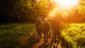 Group of friends walking