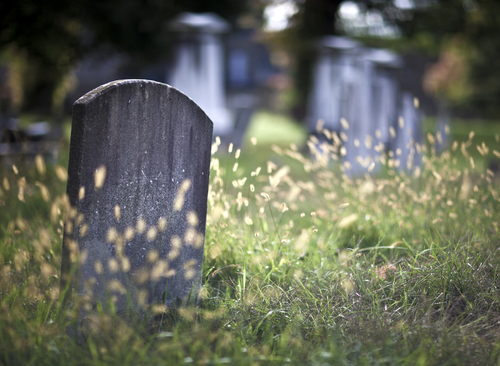 Overgrown Graveyard