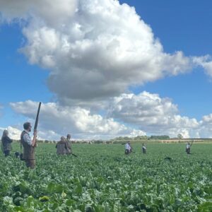 MOCK TRIAL TRAINING DAYS    18th & 19th  Sept 2026 ONE HANDLER SPACE REMAINING