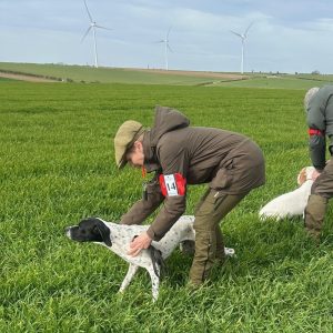 Pointer/ Setter  Spring Pointing training day 1st April 2026  FULLY BOOKED