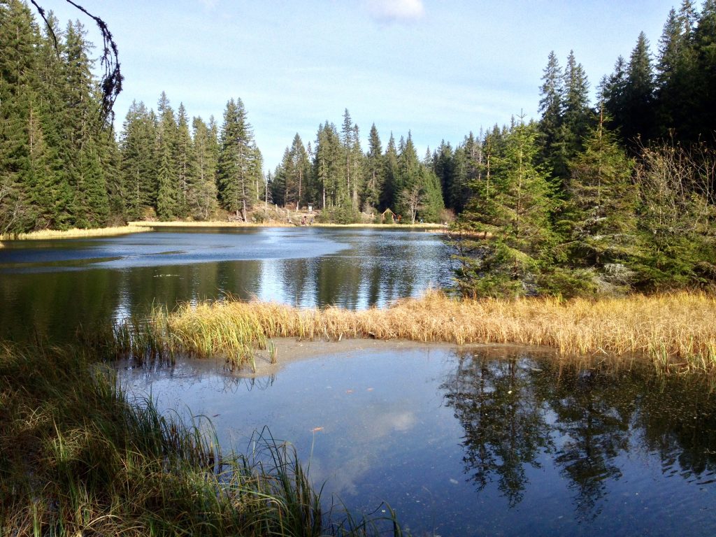 Vrbické pleso