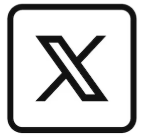icono X