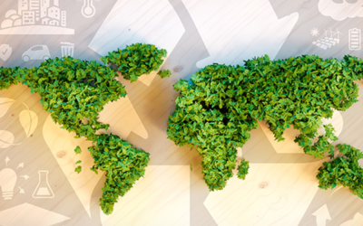 Zénit: ciencia verde para un mundo más sostenible